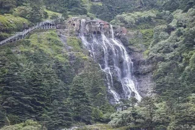 动物帮帮忙保卫家园