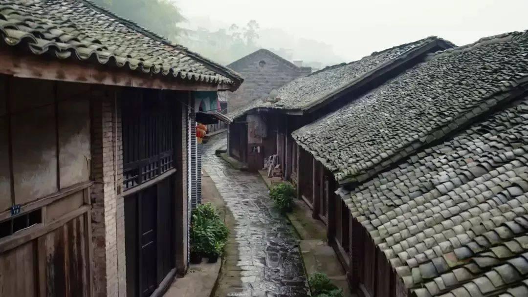 怎么下载那些电影？懂吧